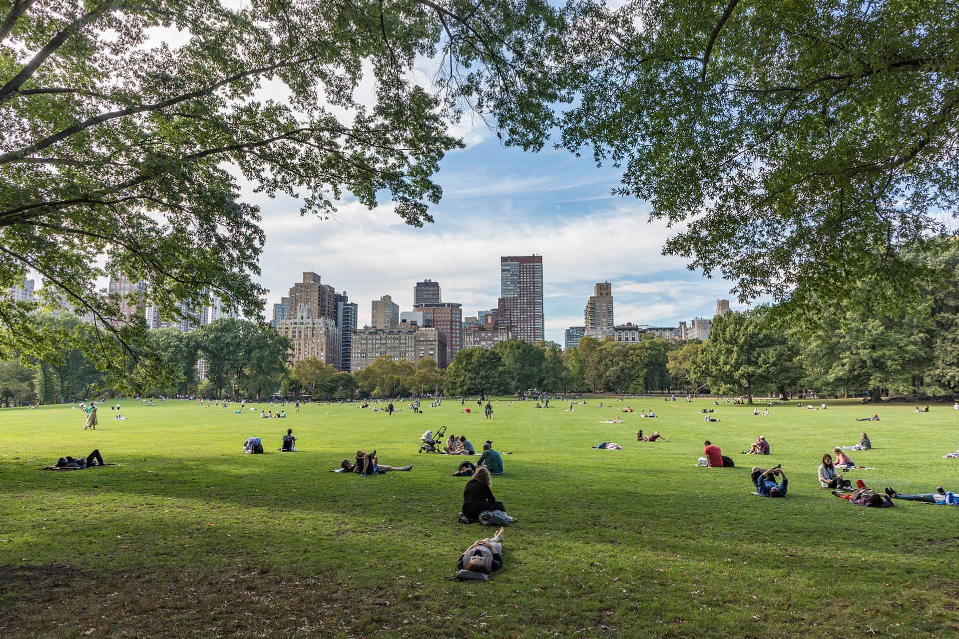 central park sheep meadow